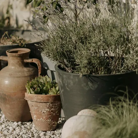 Yasna - Art Of Slow Living 빌라